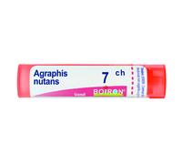Agraphis Nutans 7ch Granuli Multidose Boiron