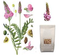 Agraria Ughetto Apicoltura LUPINELLA Seme Certificato kg. 1 | Mellifere da Semina e sovescio