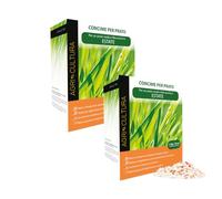 AGRI-CULTURA | Concime Prato Estate 140m² | Fertilizzante Antistress con Magnesio e Potassio | Crescita Compatta, Basso Consumo Acqua | Uso Estivo, Granulare a Lenta Cessione 3,4 Kg.