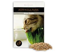 AGRI-CULTURA® | Semi erba gatta, bustina di semi di erba per gatti, qualità premium, Made in Italy.