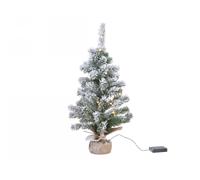 Agricola Home & Garden Imperial mini tree snowy green