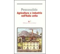 Agricoltura e industria nell'Italia unita
