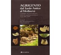 Agrigento dal Tardo Antico al Medioevo. Campagne di scavo nell'area della necrop