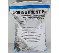 AGRINUTRIENT SOLFATO FERROS0 GRANULARE DA 25 KG