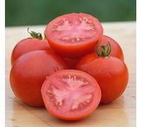 AGROBITS di Cyril Cho pomodoro See- organico-Rare Heirloom Variy- 30+ 2018 See