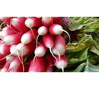 AGROBITS Un 4g (circa 400). Cimelio de DIX - HUIT JOURS variy