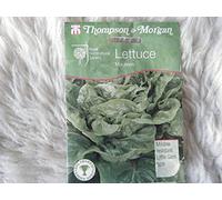 AGROBITS VEDI VEGABLE / insalata T & M MAUREENRRP £ 2.99