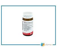 AGROPYRON COMP 20G GL WAL