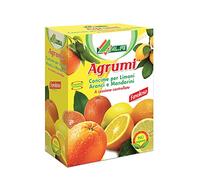 AL.FE AGRUMI Concime per agrumi, nutre Fino a 4 Mesi. Ricco di Tutti Gli Elementi nutritivi. 1 kg