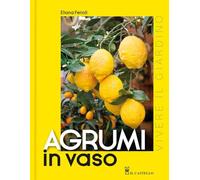 Agrumi in vaso