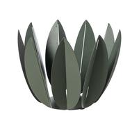 agrumiera ficus Verde salvia in Ferro 27,6x23Hcm