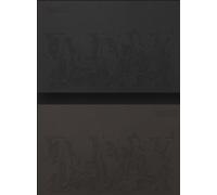 Agust D - D-Day (Random Version) (CD)