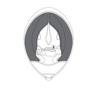 AGV Pista GP R Guance, nero, taglia L per maschi