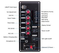Agwuoetr Scheda Amplificatore da 7,4 V Square Dance 2X10 W Amplificatore per Altoparlanti Supporto Bluetooth AUX U-Disk Altoparlante da 5-8 Pollici Home Theater Fai-da-Te