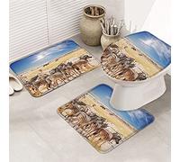 Ahdyr 3 pezzi tappeti da bagno set tappetino da bagno prateria zebra cielo blu nuvole bianche raggi del sole abbaglianti paesaggi li tappetino di contorno ultra morbido e coperchio per v a a