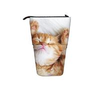 Ahdyr Astuccio per gatti Funny Cat Kitten Pen Supporto telescopico Supporto per cancelleria Custodia per scuola Forniture per studenti Artisti Ufficio infermiere