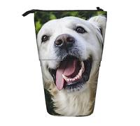 Ahdyr Astuccio per matite, simpatico astuccio per matite in piedi, astuccio portamatite retrattile, divertente borsa organizer per cancelleria Golden Retriever