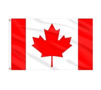 AhfuLife 2pcs Bandiera Canadese, 150×90cm Bandiere Canadese, Doppio Lato con Occhielli in Ottone, per Coppa del Mondo, Eventi di Calcio, Giardini Esterni e Festa