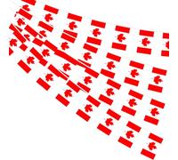 AhfuLife 4 Pezzi Canada Bandiera Bunting 30pcs Bandiere, 14× 21 cm-10m Doppio Lato Rettangolare Canada Banner Tessuto per Coppa del Mondo, Calcio Casa, Giardino, Festa e Partito