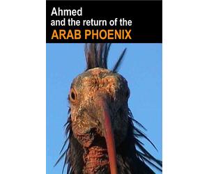 Ahmed and the Return of the Arab Phoenix (DVD)