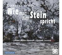 Ahrendt, Sabine - Wie Man Zum Stein Spricht