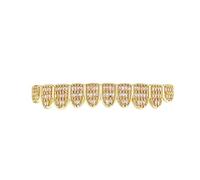 AHTCPO Grglia Hip-Hop a Dieci Denti Tre File Zircone a T, Unisex e Completamente Rimovibile, Perfetta per Rapper, Performance Teatrali e Feste a Tema(Gold,Lower teeth)