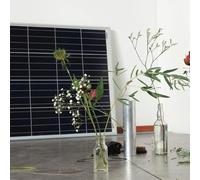 Ahti Marja - Still Lives
