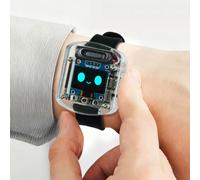 AI Voice Kit Schermo per oled 0.96 AI Voice Kit Schermo per(black) | Riconoscimento vocale avanzato, conversazione in per tempo , interazione intuitiva, kit sviluppo aperto