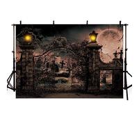 AIBIIN 2,4 x 1,8 m Halloween fotografia sfondo spaventoso cimitero spaventoso terrore desolato cancello cimitero triste porta di ferro arrugginito giorno di tutti i santi luna piena famiglia vacanza