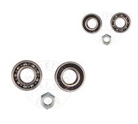 AIC 2x Cuscinetto Ruota Mozzo Anteriore Sinistra Destra per Renault 4 5 112 122