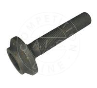 AIC 52043 Bullone/Vite Anteriore & Posteriore