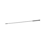 AIC 53911 Antenna autoradio montata sul tetto per FORD C-MAX (DM2) KUGA I