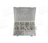 AIC 54530Set Bullone ruota