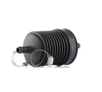 AIC 55266 Filtro idraulico, Sterzo