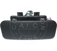 AIC 55803 Maniglia esterna sportello per FORD