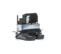 AIC 56250 Serratura cofano post.