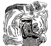 Aids Wolf Vs Athletic Autom - Clash Of The Life-Force Warriors