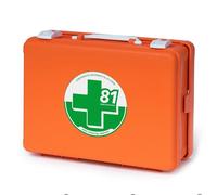 AIESI HOSPITAL SERVICE Sas CASSETTA IN PLASTICA CON SUPPORTO ATTACCO A PARETE PER PRONTO SOCCORSO ALLEGATO 1 AZIENDE GRUPPO A/B DIMENSIONI 395X270X135 MM ARANCIO PESO 6,2KG