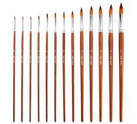 AIEX 13 Pennelli per Acquerello, Set di Pennelli a Punta Rotonda per Acquerello, Acrilico, Inchiostro, Guazzo, Olio, Pittura a Tempera