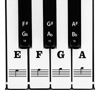 AIEX - Set completo di adesivi per tastiera pianoforte, rimovibili e trasparenti, per tasti 88/61/54/49 bianchi