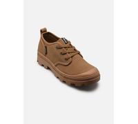 Aigle - Tenere Cvs Low Marrone - Sneakers 40 Marrone