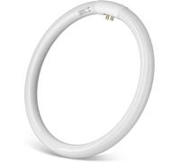 Aigostar Circolina Fluorescente T9 40W G10q 6500K Luce Fredda 2800lm