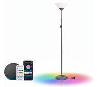 Aigostar Lampada Terra E27 Smart Bluetooth Mesh RGB CCT 6.5W Grigia Bianca 175cm