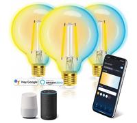 Aigostar Lampadina Filamento LED Smart E27 6W G95 Mesh CCT Globo 3 PEZZI