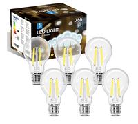 Aigostar Lampadina Vintage Edison LED E27 6W Equivalenti a 58W, Luce Bianca 6500K, 780Lm, CRI＞80, A60 Stile Vintage Lampadine Decorativo, Non Dimmerabile, Pacco da 6 Pezzi