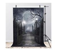 AIIKES 5x7FT Fotografia di Halloween Sfondo Luna Nera Retro Vinile Fotografia Foto Sfondo Festa Festa Fotografia Sfondo Studio Puntelli 10-704