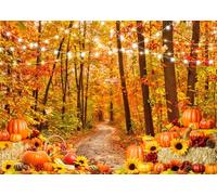 AIIKES 7x5FT Autunno Sfondo Autunno Foglie Foresta Falling Paesaggio Naturale Fotografia Sfondo Autunno Raccolto Riso Zucca Party Decorazione Sfondo XY96