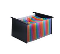 Ailan Cartella portadocumenti a fisarmonica da 25 tasche, robusta e di qualità, semplice, facile da appendere, con etichette, per l'organizzazione dei documenti, armadio portadocumenti, Colorato