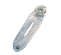 Ailan Clip twist alla moda per le donne Maglia utilizzata trama delicata non facile da sbiadire Cravatta per capelli e forcina per garza da donna, Perline di fiori grigi