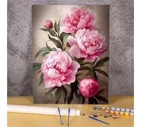 Aimaor Fiore Peonia Dipingere con i Numeri Kit per Dipingere con i Numeri per Adulti Bambini Colorare con i Numeri Adulti Dipingi con i Numeri per Decorazione Domestica 45x60cm